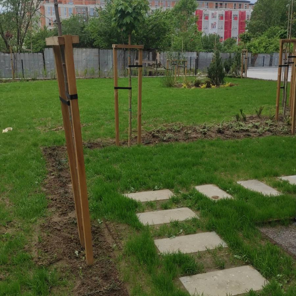 Home Дружба (4)