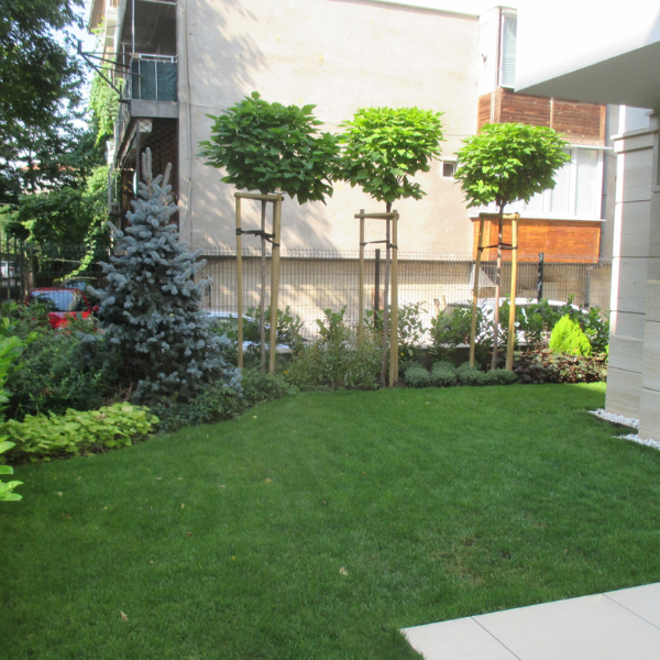 Home ул. Крали Марко 6 (11)